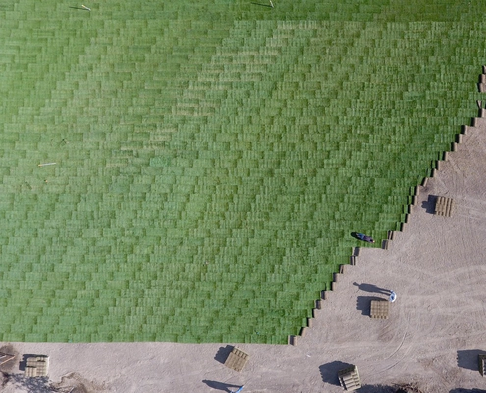 Parks by Turf Master Sod Farms - Photo 8