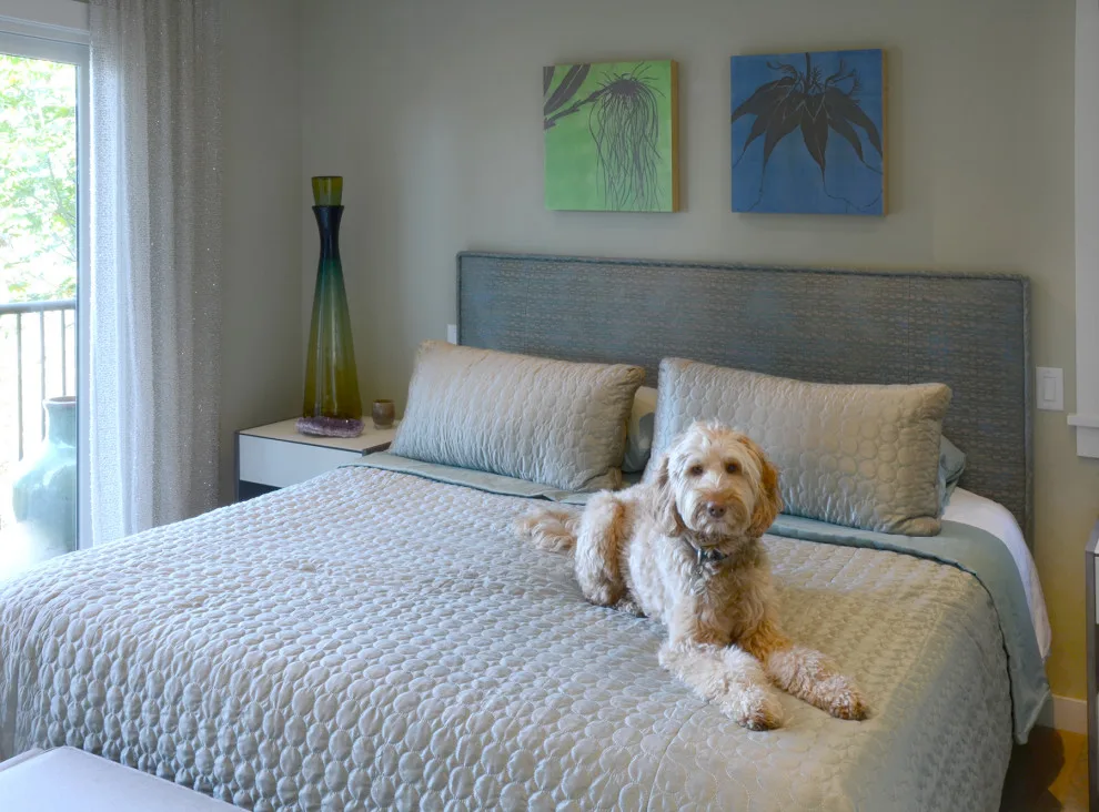 Modern Renovation by Domistyle Design - Photo 6