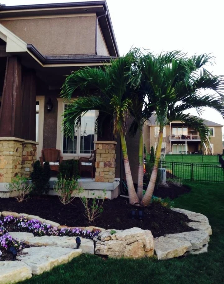 Ideal Lawn And Landscape - Photo 6
