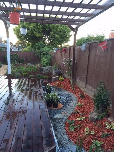 Urban Oasis: A Permaculture Haven in the Backyard by Vani Bahl │Bhooma Homes | Permit-to-Key - Photo 4
