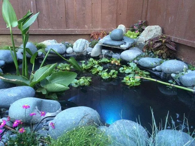 Urban Oasis: A Permaculture Haven in the Backyard by Vani Bahl │Bhooma Homes | Permit-to-Key - Photo 7