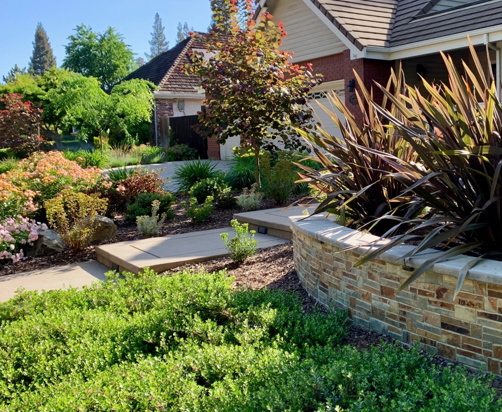 LOSE THE LAWN FRONT YARD by CFLD Landscape Design - Photo 2