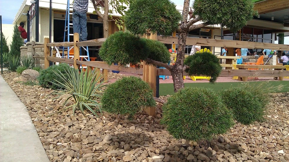Eyedeal Landscape - Photo 2