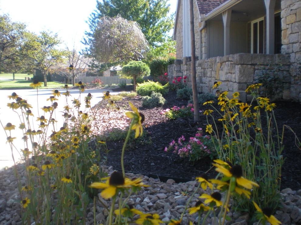 Eyedeal Landscape - Photo 3