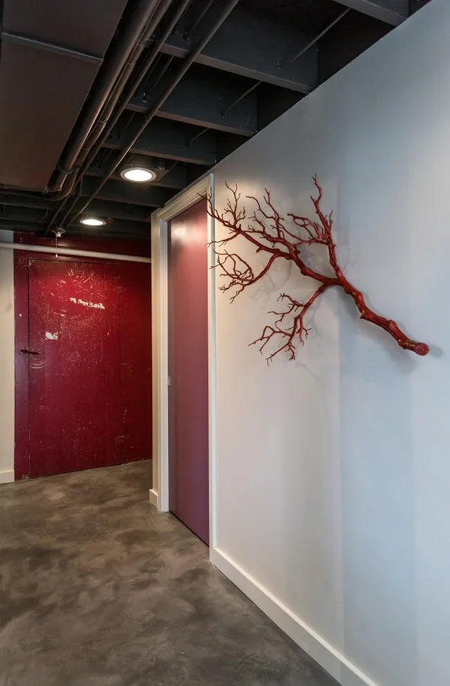 Subterranean Living by Dana King Design Build Remodeling - Photo 12
