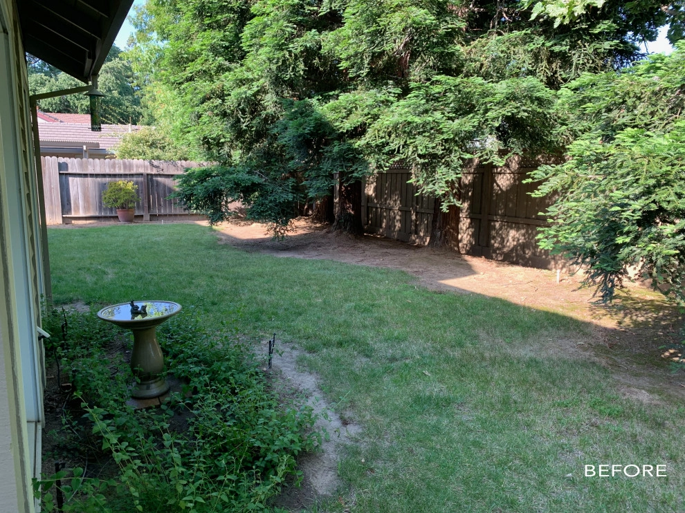 CFLD Landscape Design - Photo 11