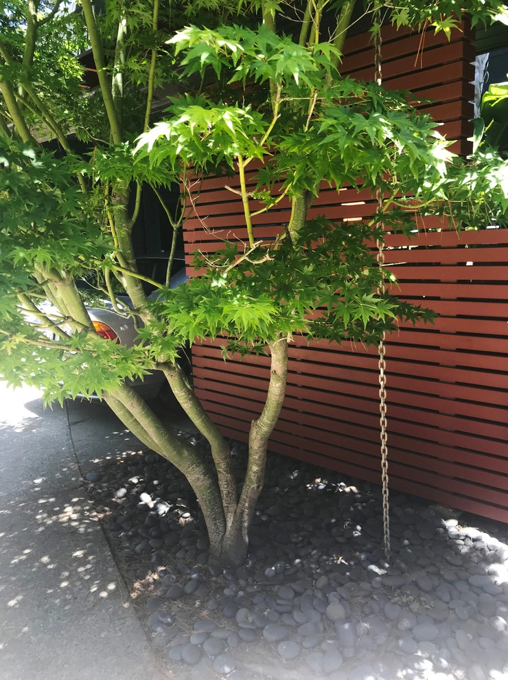 CFLD Landscape Design - Photo 13