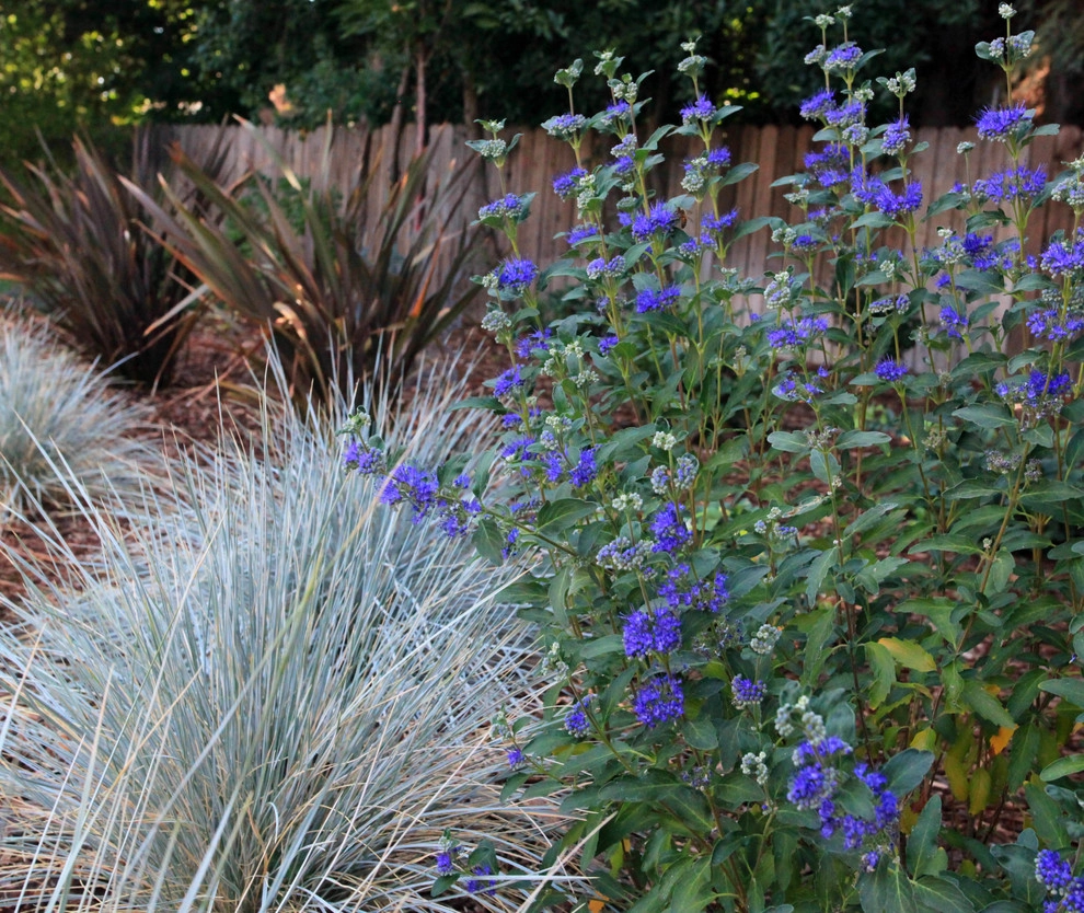 OUTDOOR ENTERTAINING by CFLD Landscape Design - Photo 3