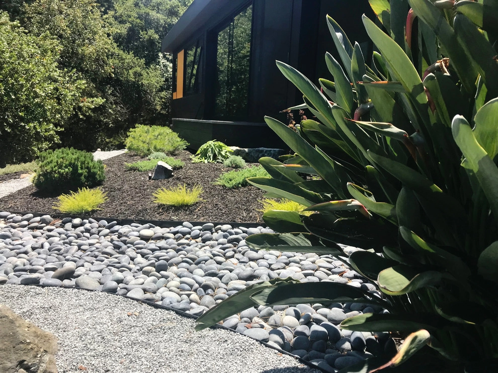 TIBURON ZEN by CFLD Landscape Design - Photo 4
