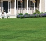 Two Rivers Lawn And Landscape Management - Photo 2