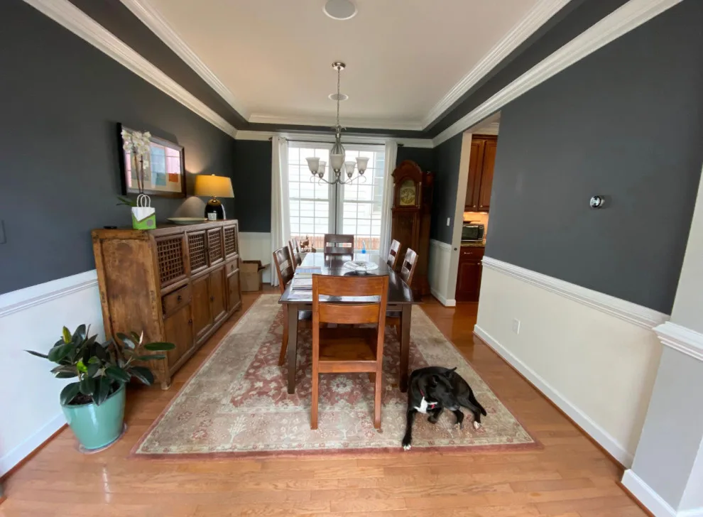 Belvedere Kitchen Renovation by Casey Eves Design - Photo 5