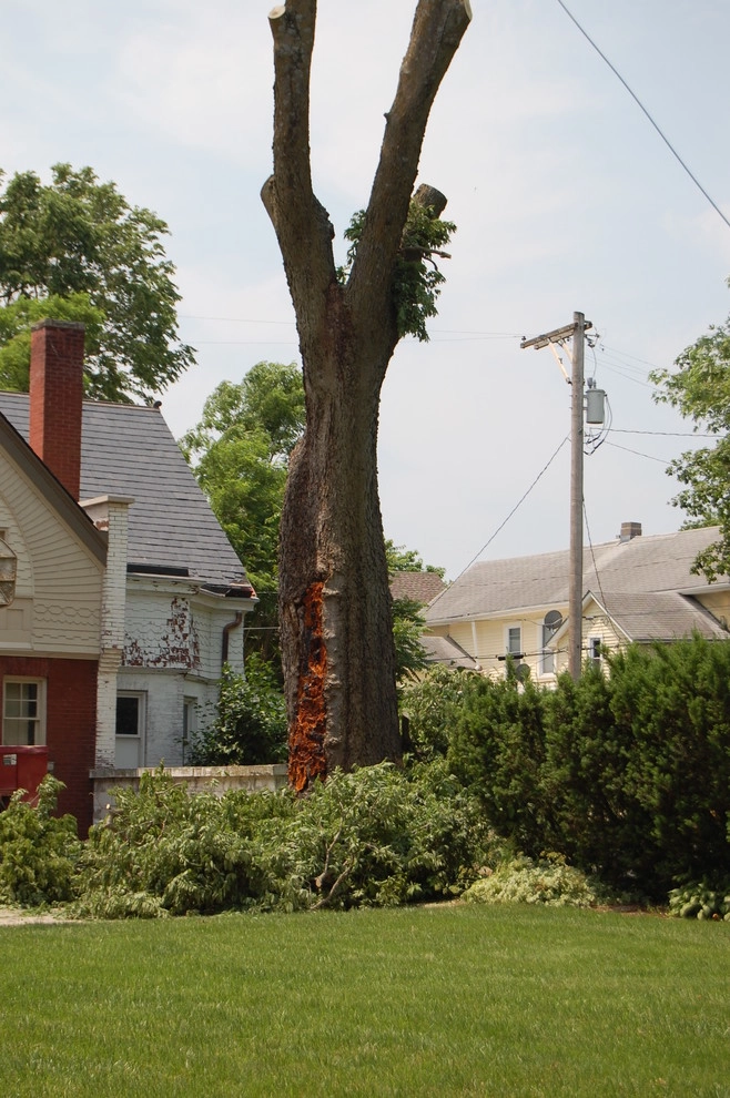 Urban Lawncare - Photo 2