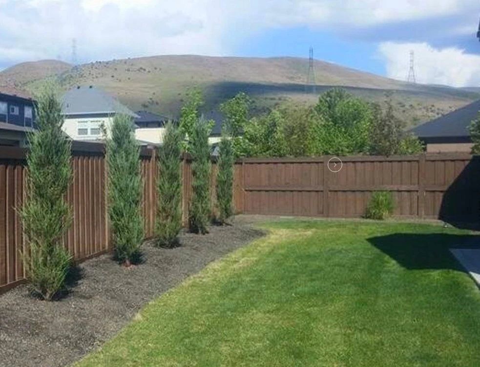 Integrated Lawn Care - Photo 6