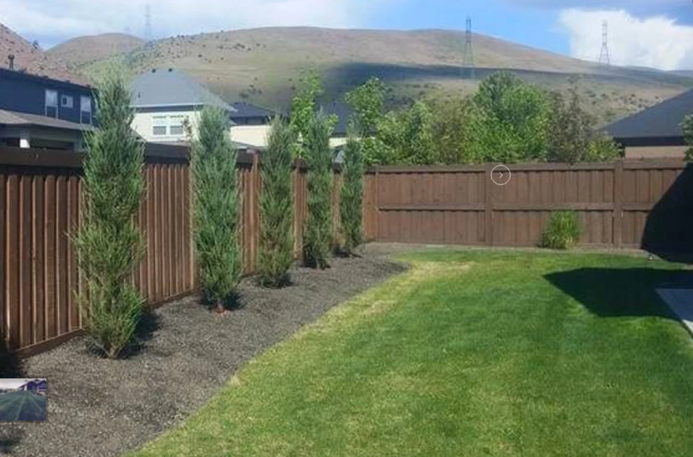 Integrated Lawn Care - Photo 3