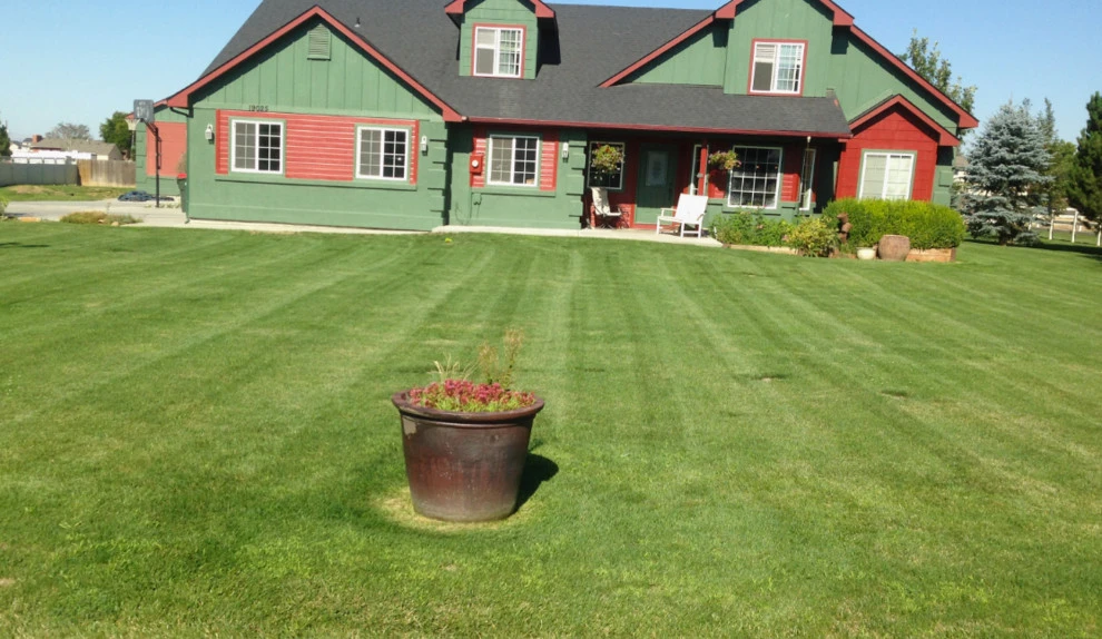 Integrated Lawn Care - Photo 4