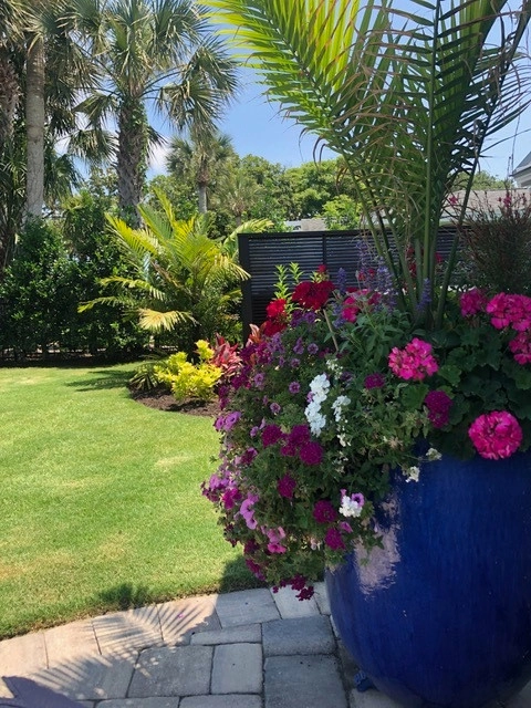 Vie Plant And Garden Design - Photo 8