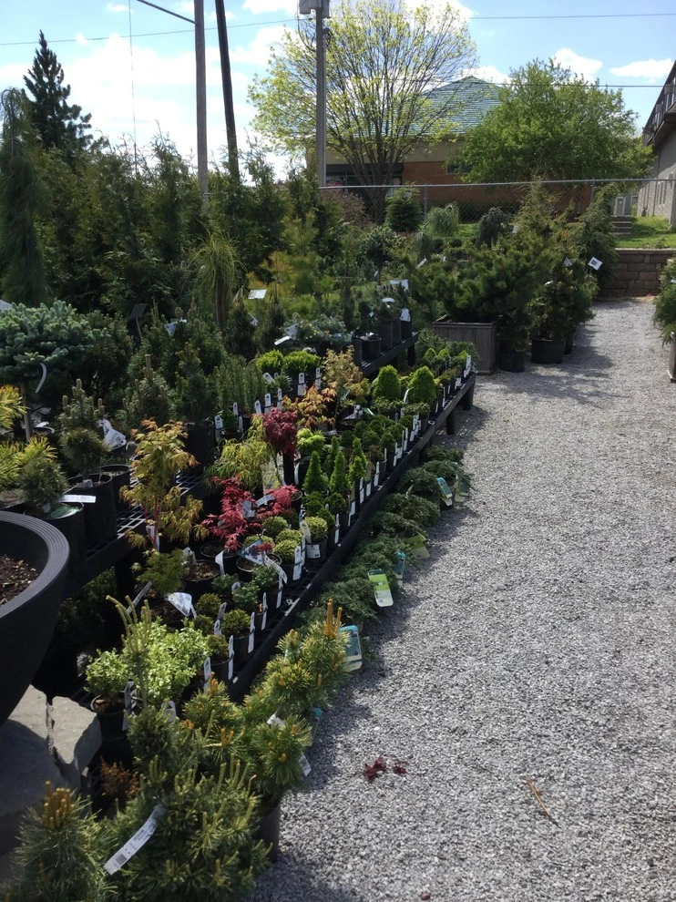Iowa City Landscaping & Garden Center - Photo 7