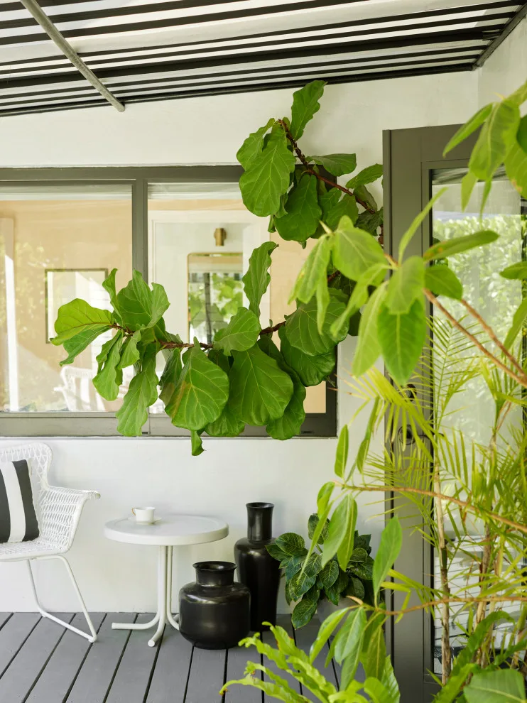 Belle Meade Bungalow by Studio Rodrigo Buelvas - Photo 3