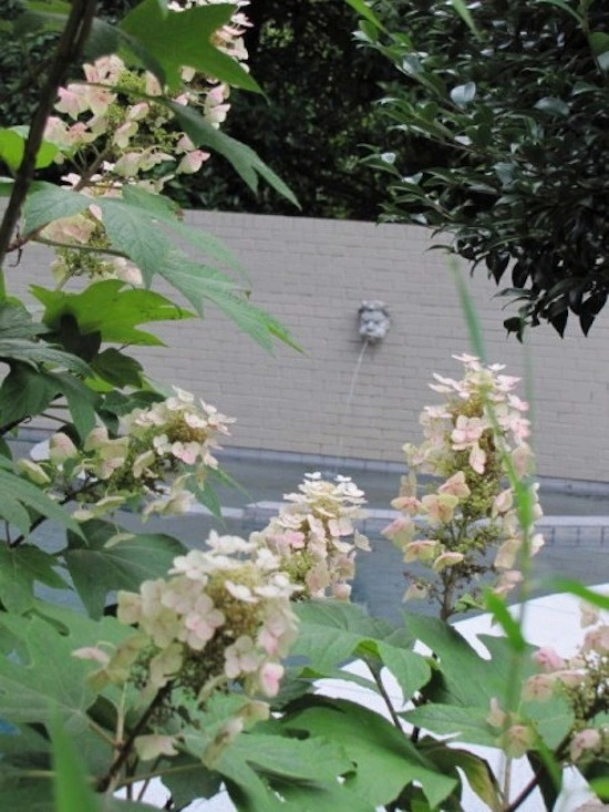Charles Godfrey Landscape Architects, Inc. - Photo 5