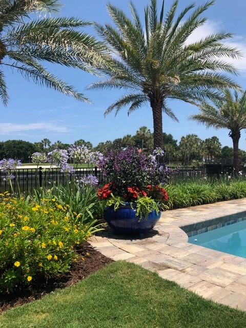 Vie Plant And Garden Design - Photo 13