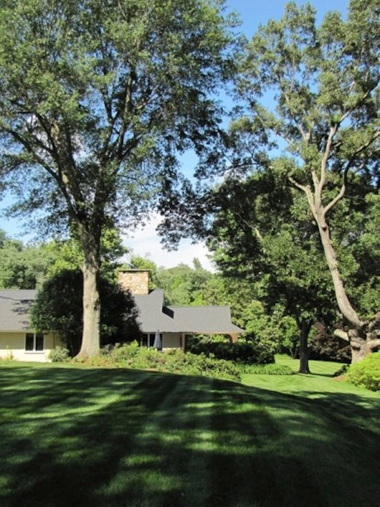 Contemporary Garden by Charles Godfrey Landscape Architects, Inc. - Photo 3