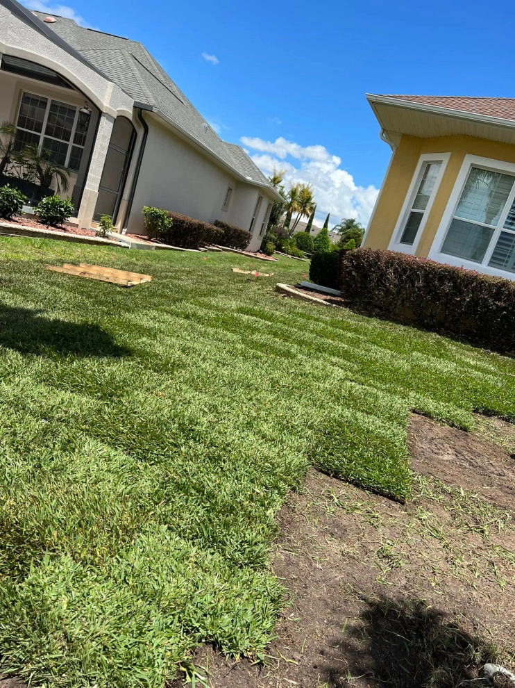 Completed Projects by Chessari Sod Services And Landscape LLC - Photo 12