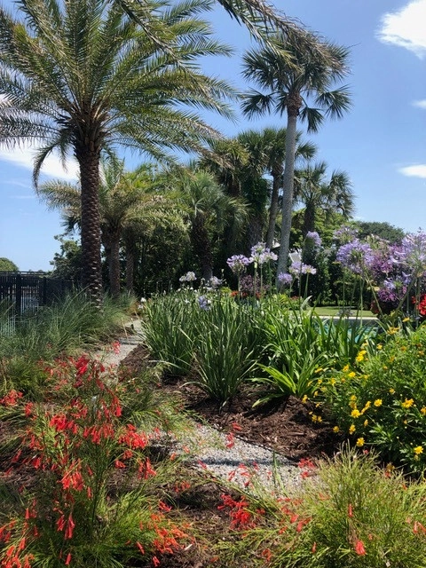Ponte Vedra Beach Client by Vie Plant And Garden Design - Photo 12