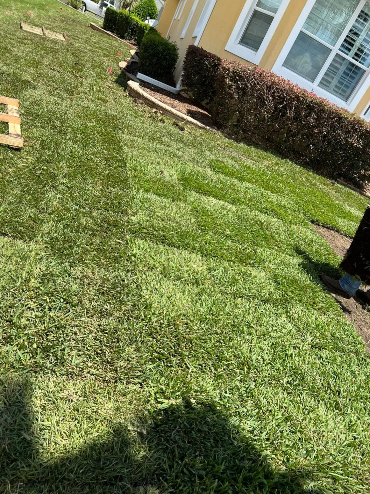 Completed Projects by Chessari Sod Services And Landscape LLC - Photo 7