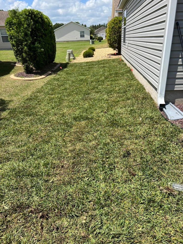 Chessari Sod Services And Landscape LLC - Photo 10