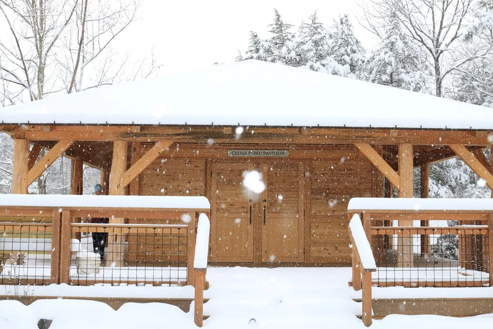 Cedar Lake Pavilion by Homestead Timber Frames - Photo 5