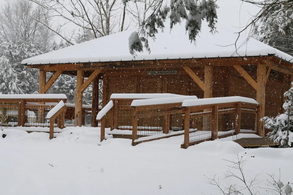 Cedar Lake Pavilion by Homestead Timber Frames - Photo 3