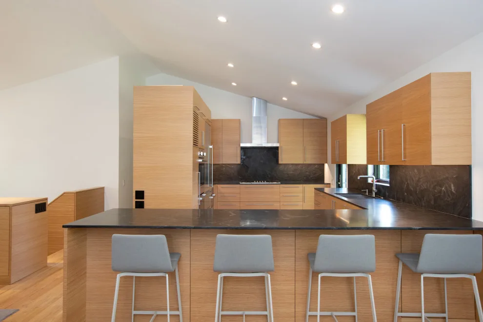 Modern Renovation in Charlottesville by Robertson Renovations Inc - Photo 8