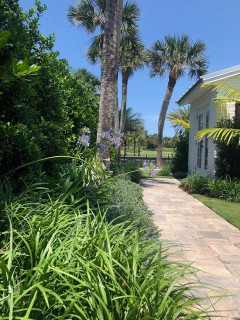 Ponte Vedra Beach Client by Vie Plant And Garden Design - Photo 11