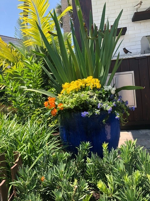 Ponte Vedra Beach Client by Vie Plant And Garden Design - Photo 8