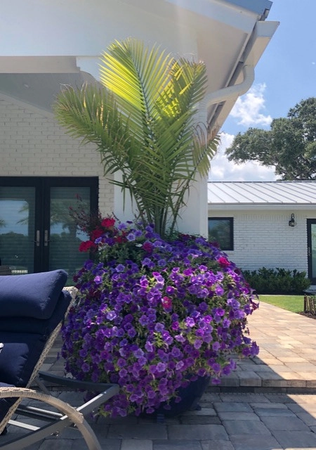 Vie Plant And Garden Design - Photo 9