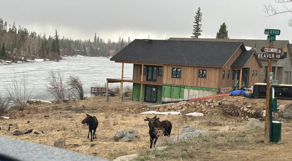 Columbine Lake Lodge by RJ Design Homes, Inc. - Photo 2