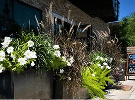 Business Ventures by Yarrow Landscaping - Photo 3