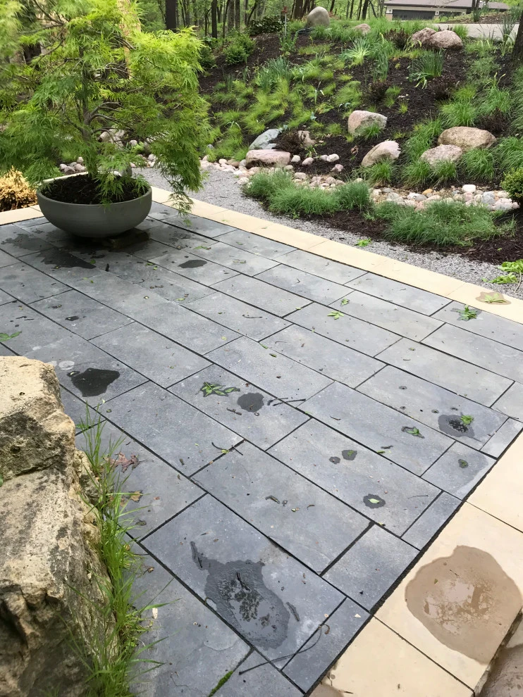 Contemporary shade garden by Fiddlehead Gardens LLC - Photo 2
