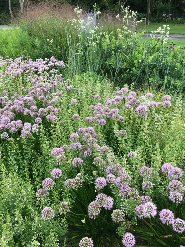 Fiddlehead Gardens LLC - Photo 7