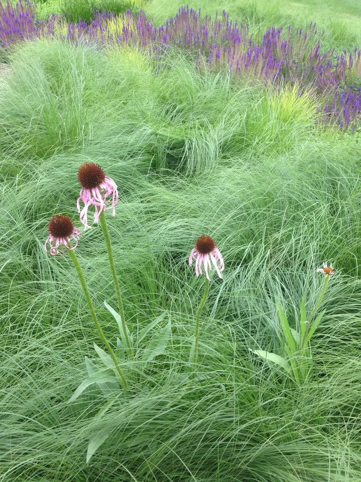 Fiddlehead Gardens LLC - Photo 5