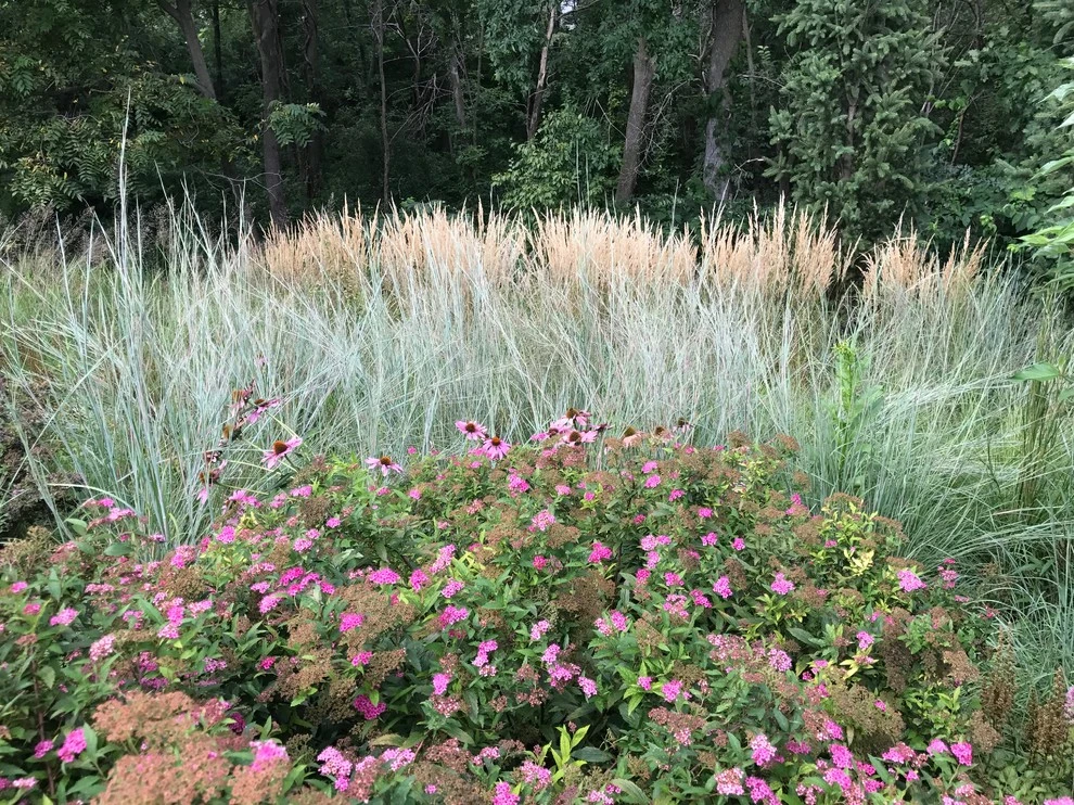 Linder road by Fiddlehead Gardens LLC - Photo 3