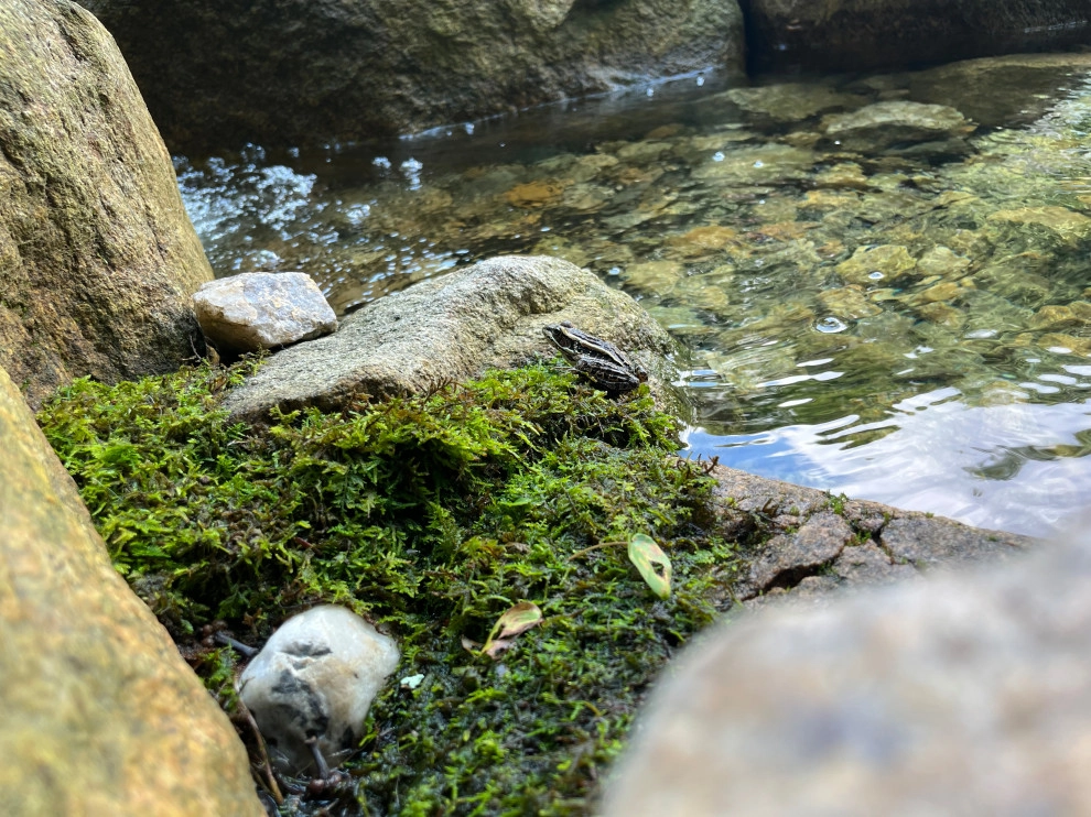 NATURAL ELEMENTS By Design - Photo 10