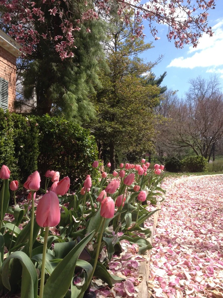 Our Work by Focal Pointe Outdoor Solutions, Inc. - Photo 20