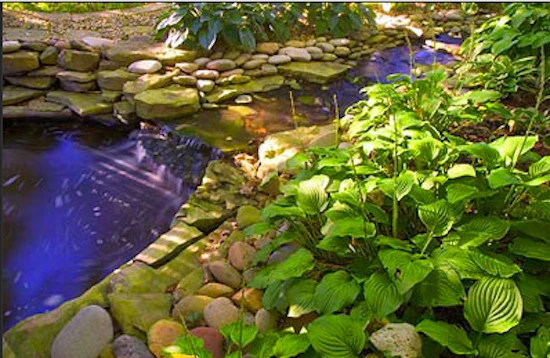 Focal Pointe Outdoor Solutions, Inc. - Photo 9