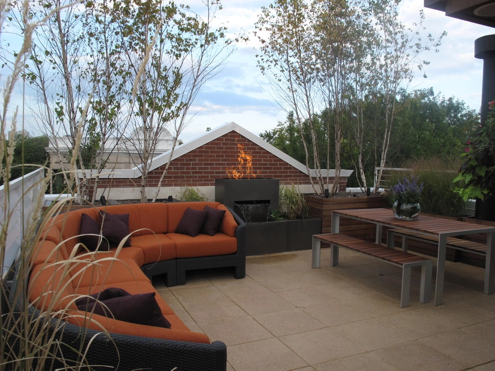 The Four Elements by Chicago Specialty Gardens, Inc. - Photo 3