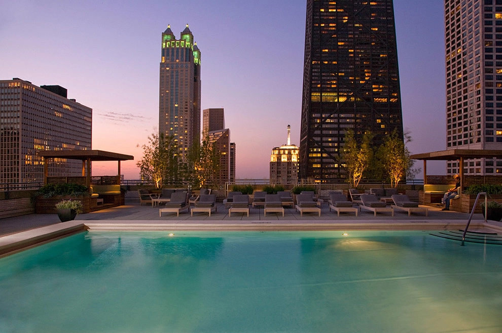 Michigan Avenue Pool Deck by Chicago Specialty Gardens, Inc. - Photo 3