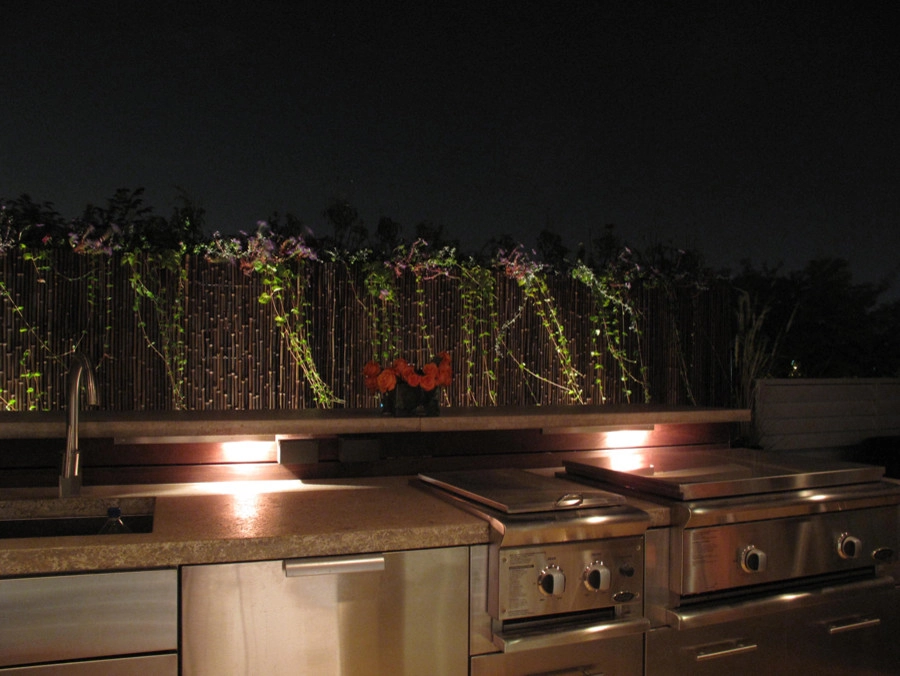 The Four Elements by Chicago Specialty Gardens, Inc. - Photo 2