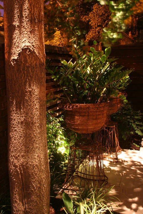 Old Town Pocket Garden by Chicago Specialty Gardens, Inc. - Photo 7