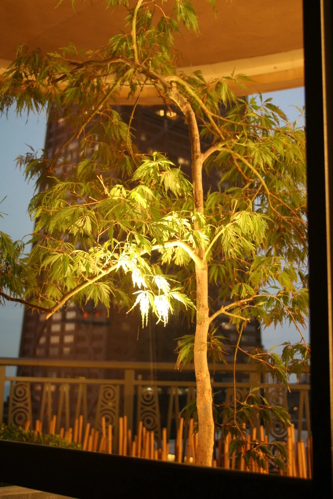 Eastern View by Chicago Specialty Gardens, Inc. - Photo 6