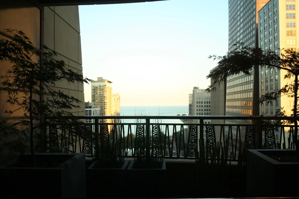 Eastern View by Chicago Specialty Gardens, Inc. - Photo 5